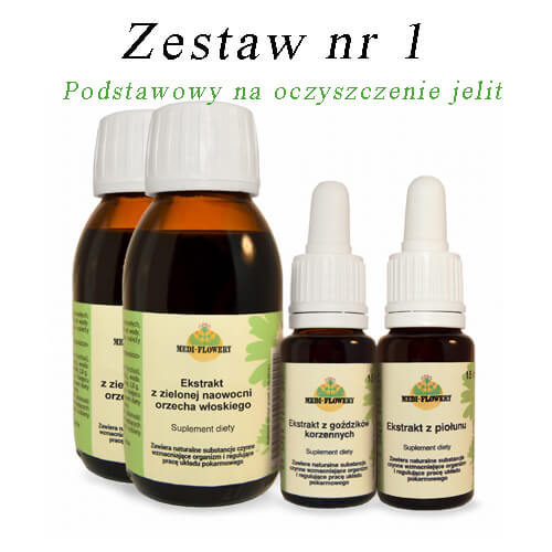 zestaw 1 podstawowy na oczyszczenie jelit.jpg