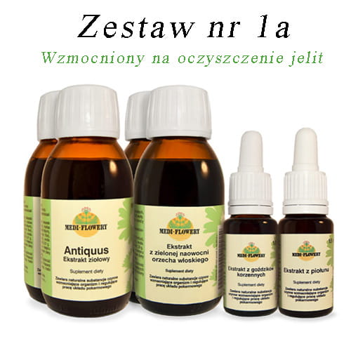 zestaw 1a. wzmocniony na oczyszczenie jelit.jpg