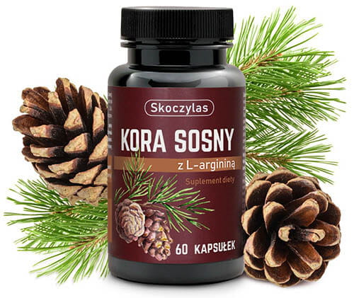 54-kora-sosny-owoc-min.jpg