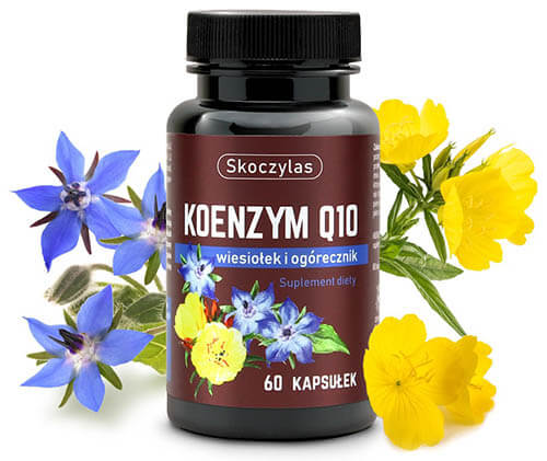 koenzym q10 owoc-min.jpg
