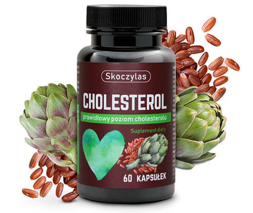 26-cholesterol-owoc-min.jpg
