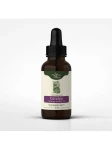 Nanga Catalpa nalewka 1:1 50ml