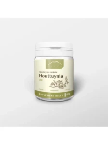 Nanga Houttuynia 100kps.