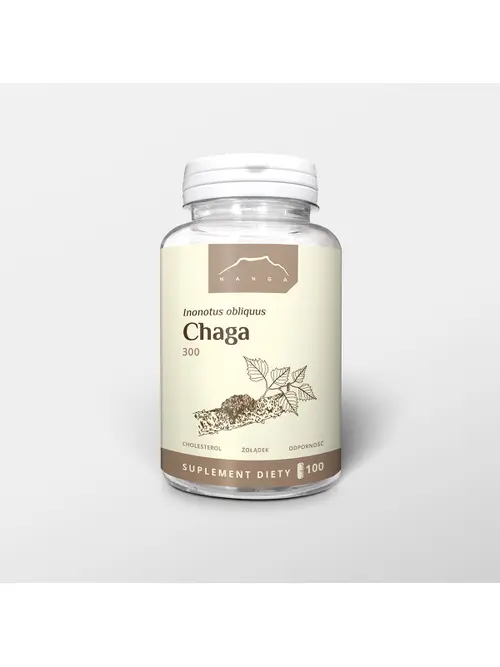 Chaga.webp