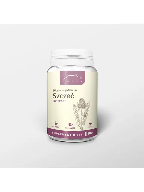 Szczeć.webp