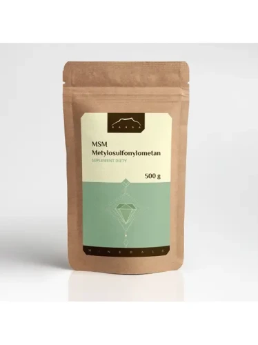 MSM 500.webp