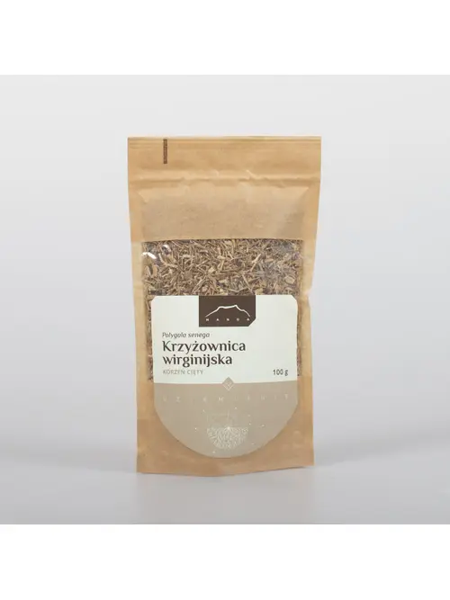Krzyżownica wirginijska korzeń cięty 100.webp