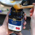 Miód Manuka MGO 550+ nektarowy 500 g Manuka Health