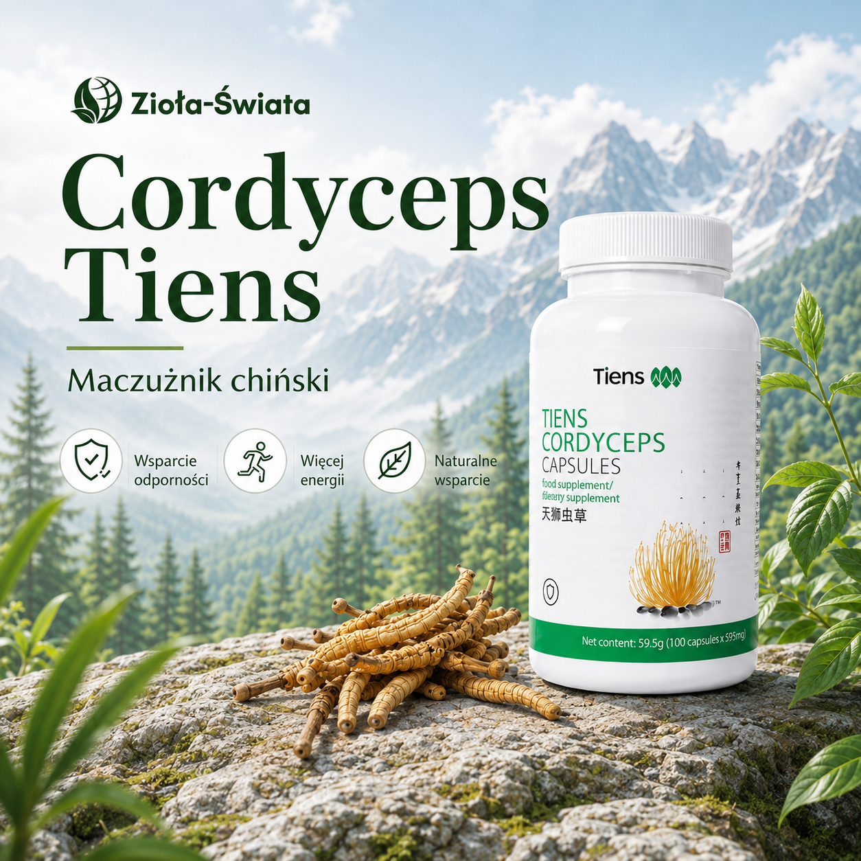 Cordyceps Tiens – maczużnik chiński, jego historia, pochodzenie i zastosowanie w różnych krajach