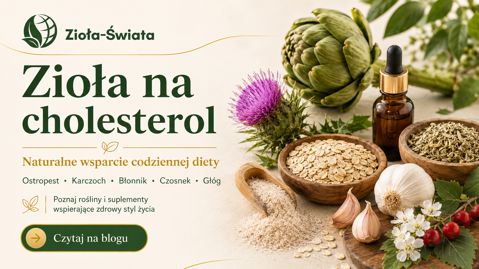Zioła na cholesterol – naturalne wsparcie codziennej diety
