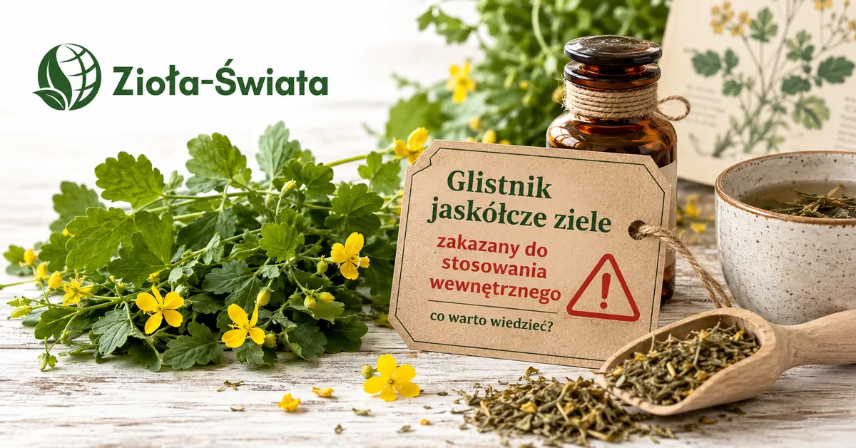 Glistnik jaskółcze ziele zakazany do stosowania wewnętrznego — co warto wiedzieć?